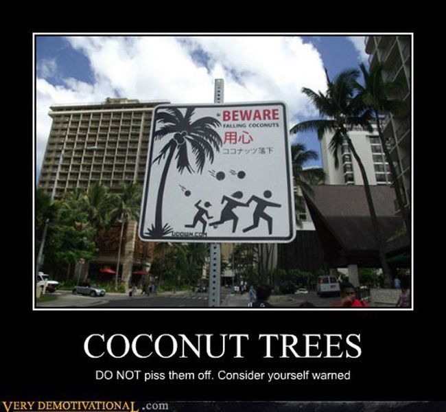 Funny Demotivational Posters (Fifteen Photos)